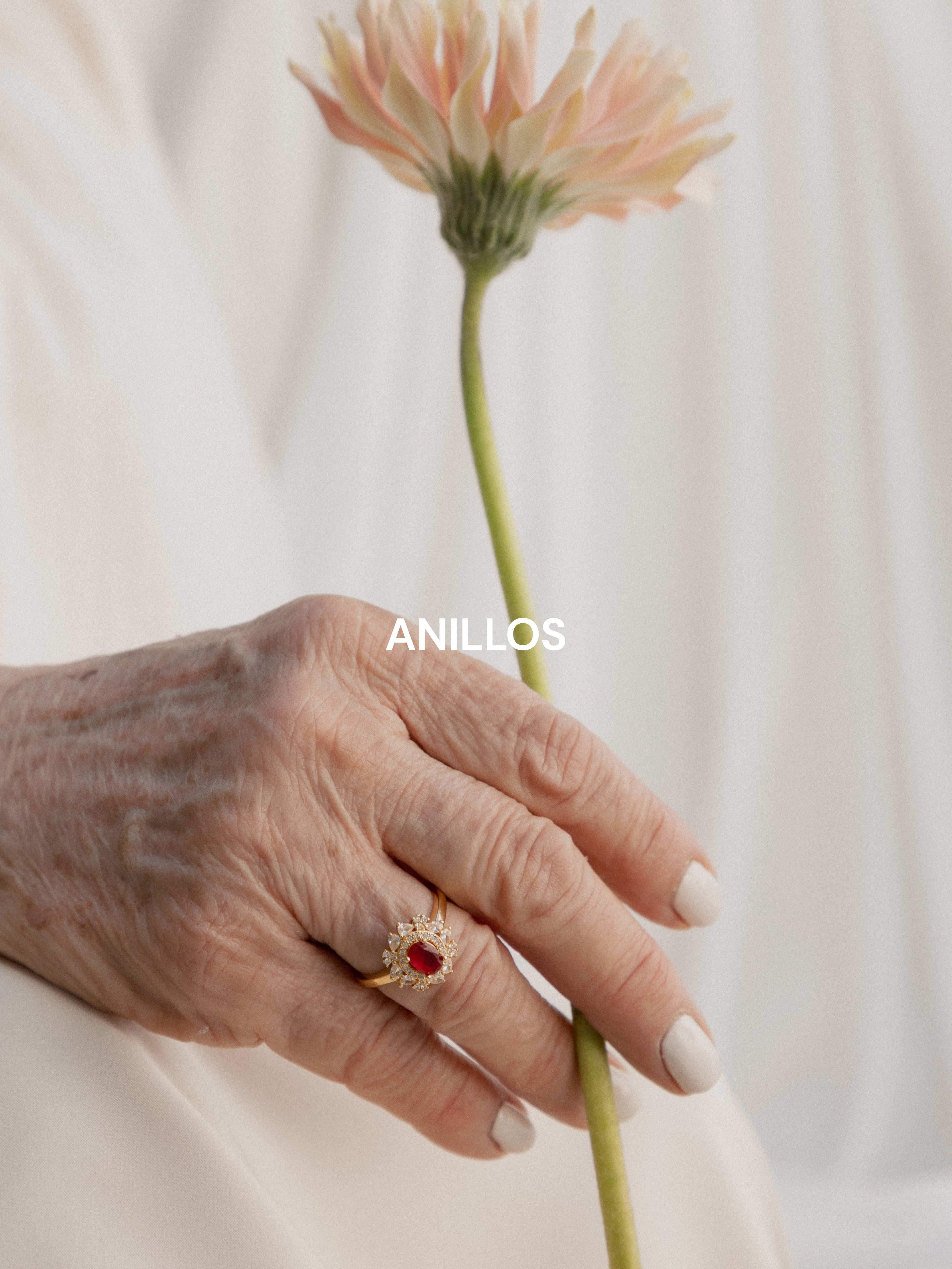 Anillos