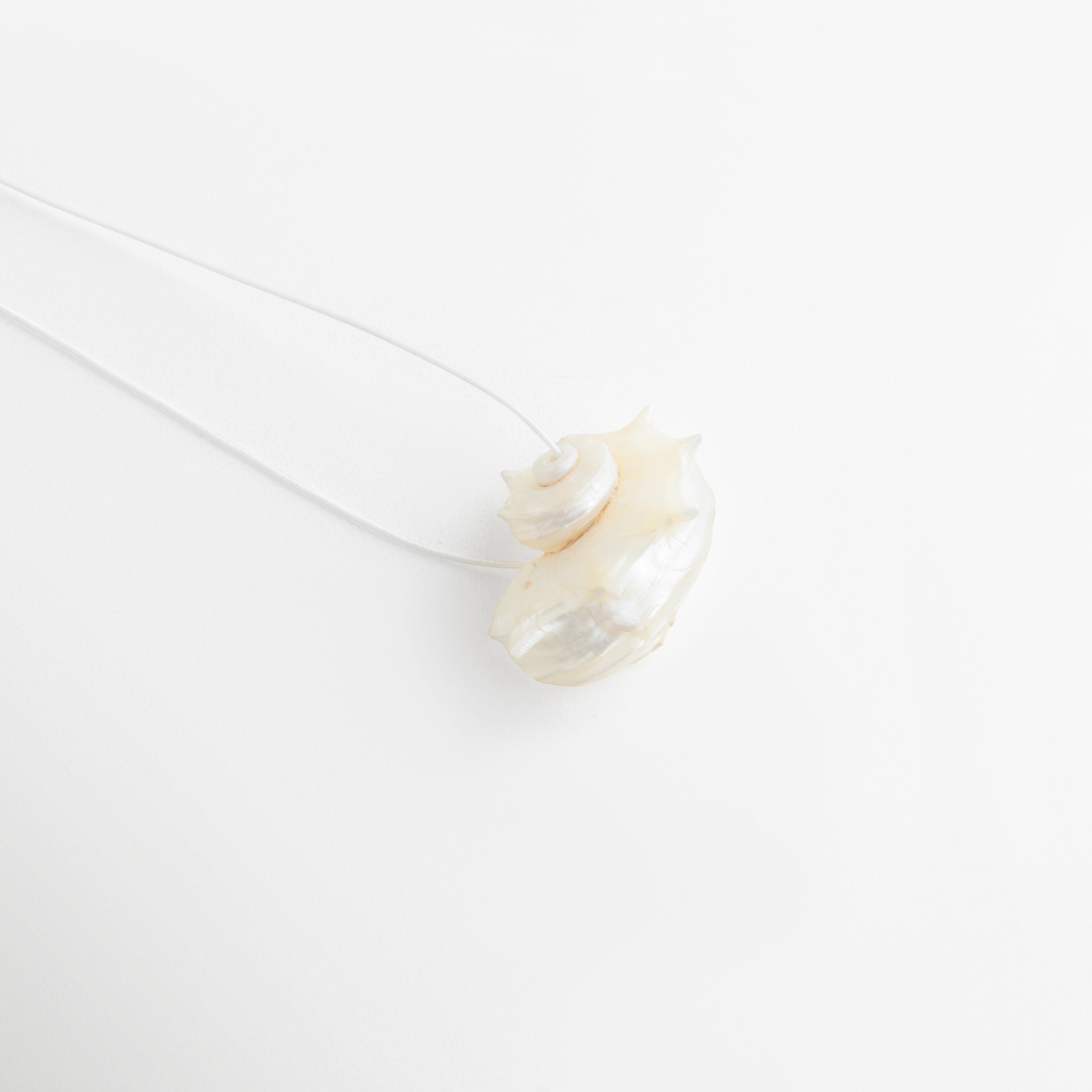 Detalle lateral del Collar Largo Oceana con acabado de caracola y diseño orgánico elegante, Vista cercana del colgante de caracola con textura natural y estilo sofisticado, Acercamiento del diseño del Collar Oceana con forma irregular inspirada en el mar, Detalle artístico del collar largo con colgante de caracola y acabado contemporáneo, Vista de perfil del dije del Collar Largo Oceana con esencia marina y toque exclusivo.