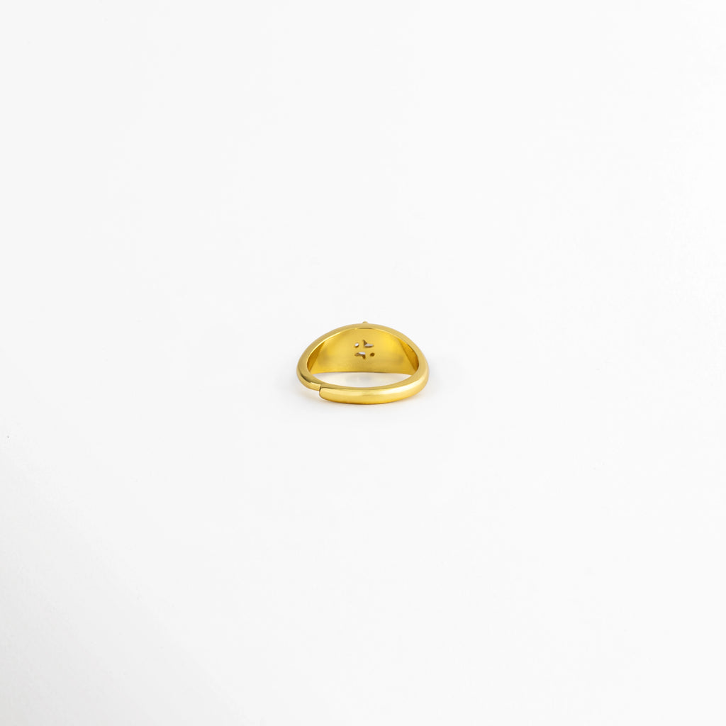 Vista superior del Anillo Sirius con zirconia central y acabado pulido brillante, Anillo Sirius visto desde arriba mostrando su diseño ajustable, Vista aérea del Anillo Sirius con acabado dorado y piedra de zirconia, Anillo minimalista con zirconia central, vista superior, Vista superior del Anillo Sirius de cobre con recubrimiento brillante.