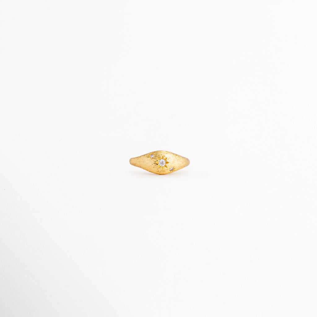 Anillo Golden Solaris con zirconia central y acabado dorado brillante, Anillo ajustable dorado con detalle de zirconia elegante, Anillo minimalista dorado con piedra brillante central, Anillo Golden Solaris de diseño femenino y sofisticado, Anillo ajustable con acabado dorado y brillo sutil.