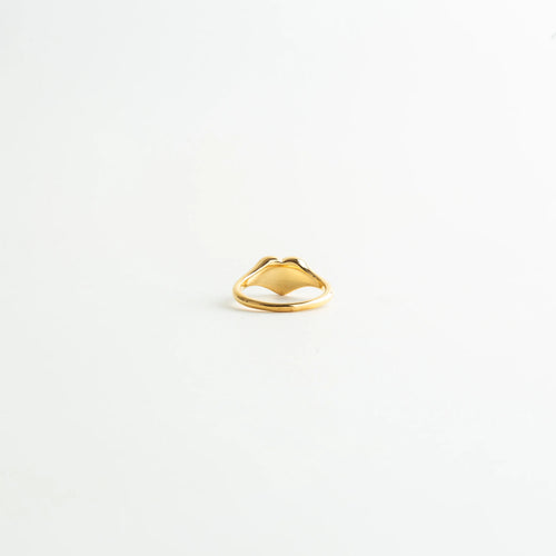 Anillo dorado minimalista con grabado visible y diseño discreto, Vista completa de anillo con mensaje grabado en acabado dorado, Anillo pequeño dorado con estilo moderno y texto grabado, Anillo de acero inoxidable con recubrimiento dorado y diseño simple, Vista general de anillo con detalle grabado en la parte frontal