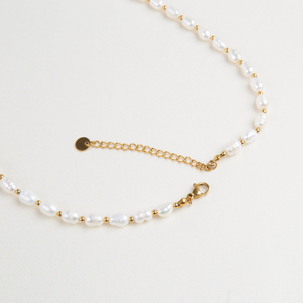 Collar Ditella