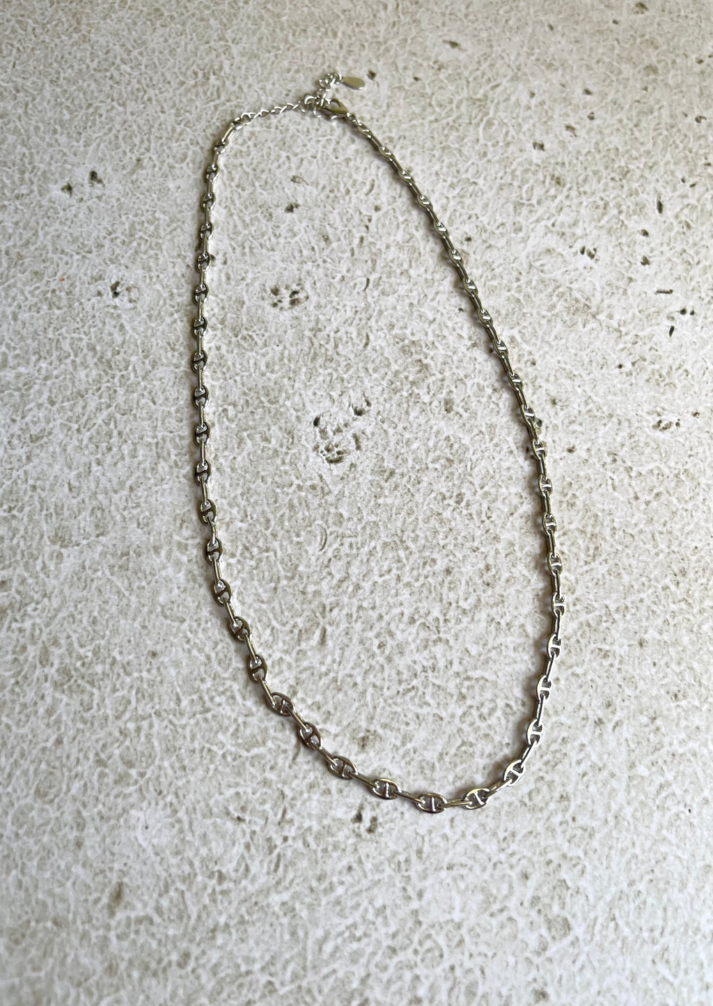 Collar Skinny Chain Plateado